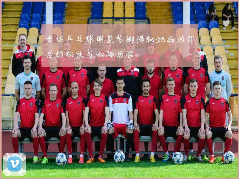 专访乒乓球明星陈娜揭秘她成功背后的秘诀与心路历程