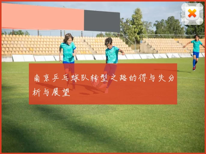南京乒乓球队转型之路的得与失分析与展望
