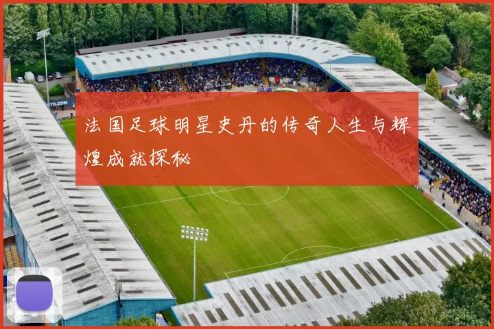 法国足球明星史丹的传奇人生与辉煌成就探秘