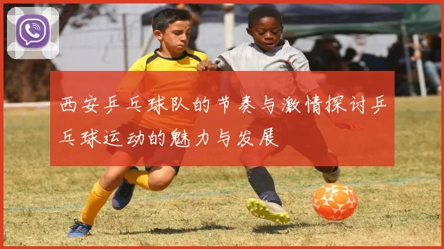 西安乒乓球队的节奏与激情探讨乒乓球运动的魅力与发展