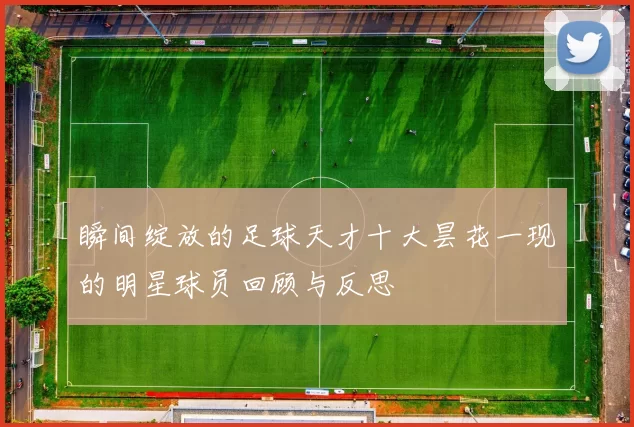 瞬间绽放的足球天才十大昙花一现的明星球员回顾与反思