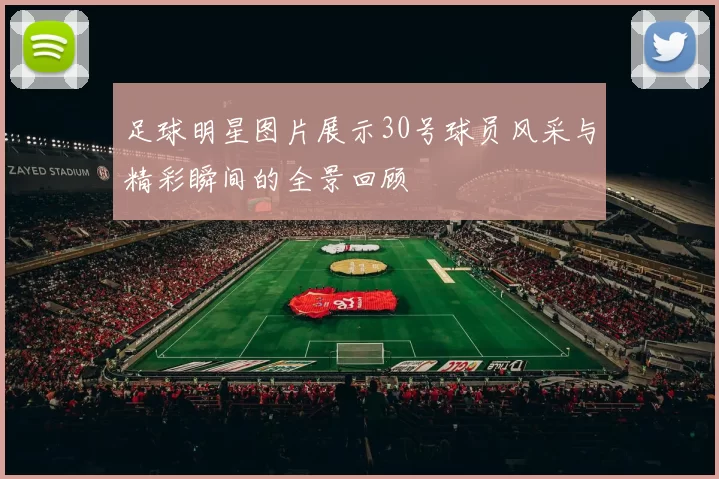 足球明星图片展示30号球员风采与精彩瞬间的全景回顾
