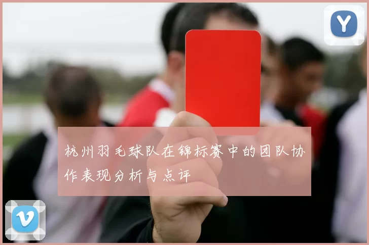 杭州羽毛球队在锦标赛中的团队协作表现分析与点评