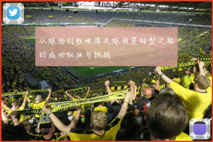 从球场到教练席足球明星转型之路的成功秘诀与挑战