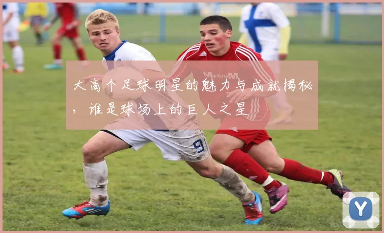 大高个足球明星的魅力与成就揭秘，谁是球场上的巨人之星