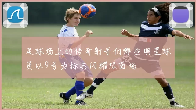 足球场上的传奇射手们哪些明星球员以9号为标志闪耀绿茵场