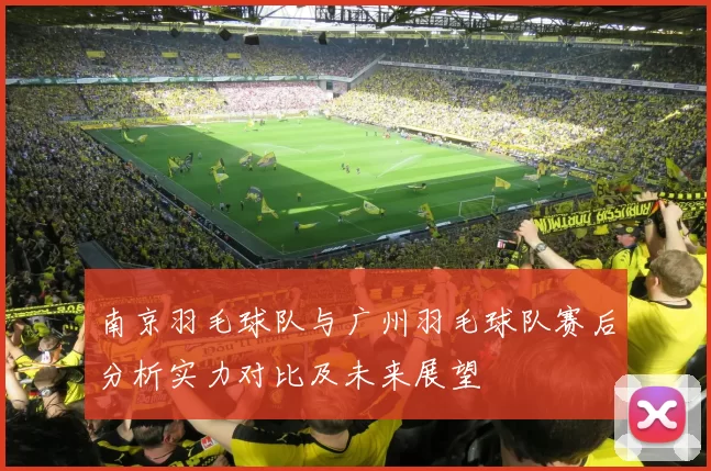 南京羽毛球队与广州羽毛球队赛后分析实力对比及未来展望