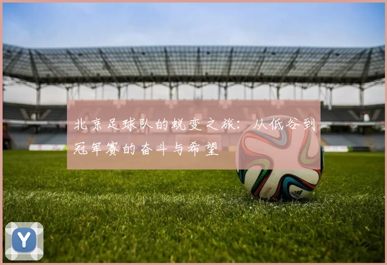 北京足球队的蜕变之旅：从低谷到冠军赛的奋斗与希望